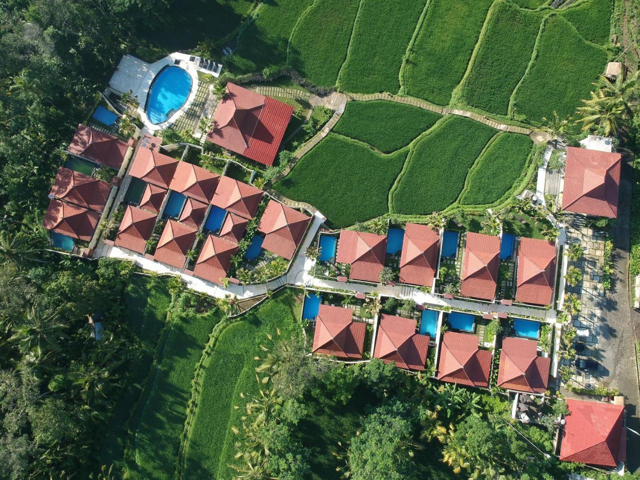 Vrindavan Ubud Villa تيغالالانغْ المظهر الخارجي الصورة