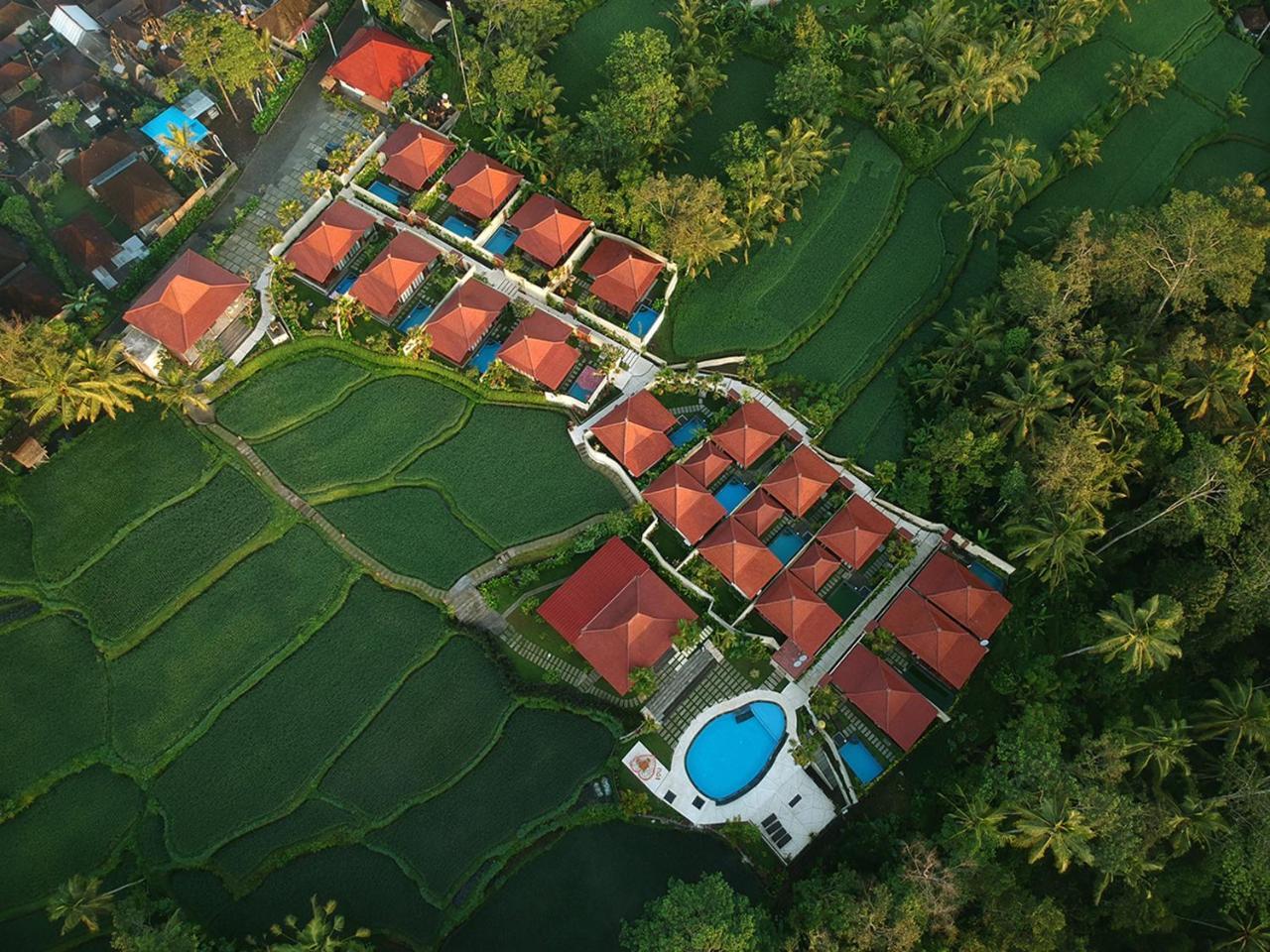 Vrindavan Ubud Villa تيغالالانغْ المظهر الخارجي الصورة